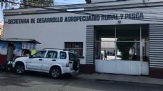 FGR investiga a líder panista en Veracruz por desvíos en Sedarpa