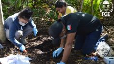 FGE encuentra restos de tres personas en predio aledaño a obra en construcción