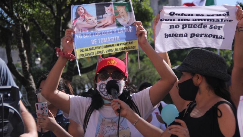 Marchan en Yucatán ante el aumento de los casos de crueldad animal