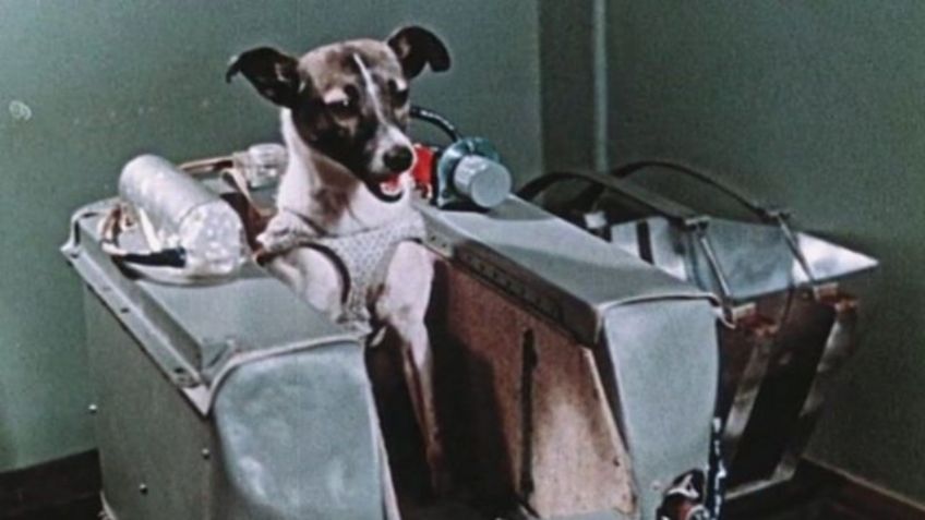 La historia de Laika, la perrita que viajó al espacio en la nave Sputnik 2