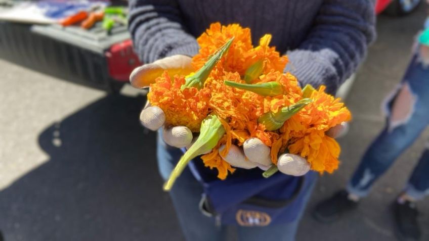 Jóvenes convierten flores en insecticida biodegradable