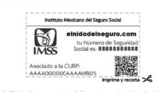 IMSS: ¿Qué significa cada dígito de tu número del seguro social?