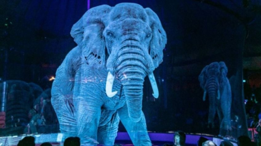 ¡Increíble! Circo alemán utiliza HOLOGRAMAS de animales salvajes: VIDEO