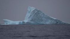 Iceberg impactará en Georgia del Sur en poco tiempo