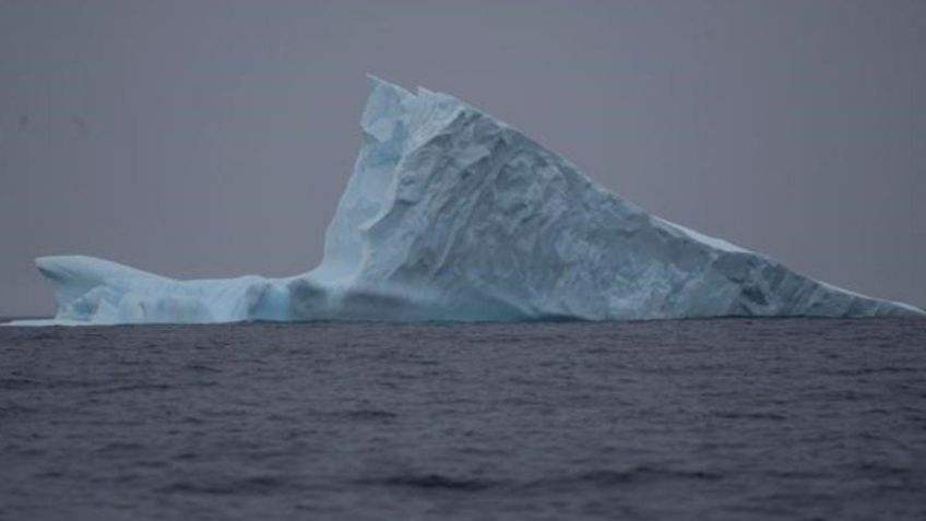 Iceberg impactará en Georgia del Sur en poco tiempo