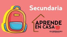 Aprende en Casa: ¿Qué son los teselados? Aquí te damos el ejemplo