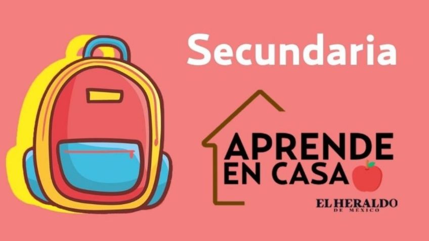 Aprende en Casa: ¿Qué son los teselados? Aquí te damos el ejemplo