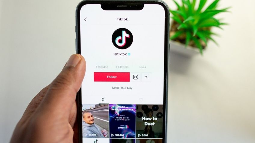 TikTok celebra el Día del Amor y la Amistad con eventos en streaming ¡GRATIS!