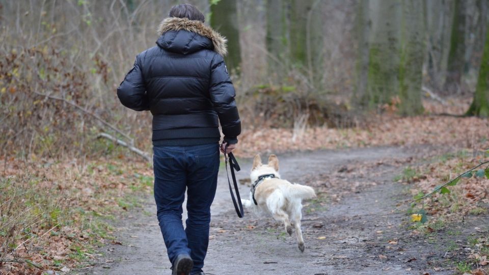 Los hombres que tienen perritos son más observados. Foto: Pixabay