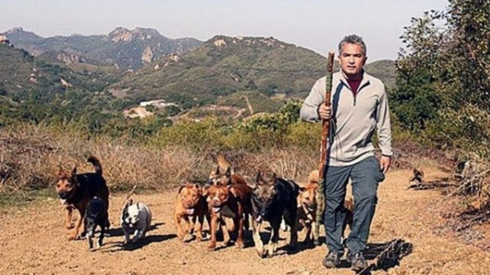 El famoso entrenador de perros tiene una advertencia para los dueños de lomitos. Foto: Instagram