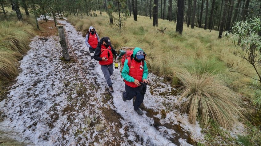 Derrite virus visita a la nieve