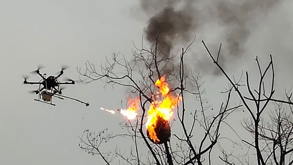 Un dron equipado con un lanzallamas quema un nido de avispas en un pueblo del condado de Zhong. Foto: AP