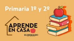 Preguntas Aprende en Casa 2 SEP | Primaria 1° y 2° grado, 14 de Diciembre: actividades y respuestas