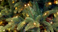 Estos son los lugares en donde se compra el árbol de Navidad en Puebla