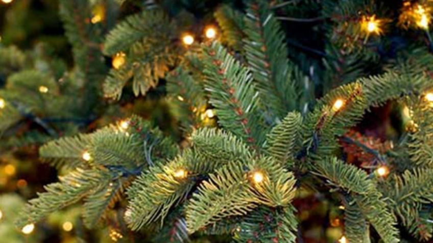 Estos son los lugares en donde se compra el árbol de Navidad en Puebla