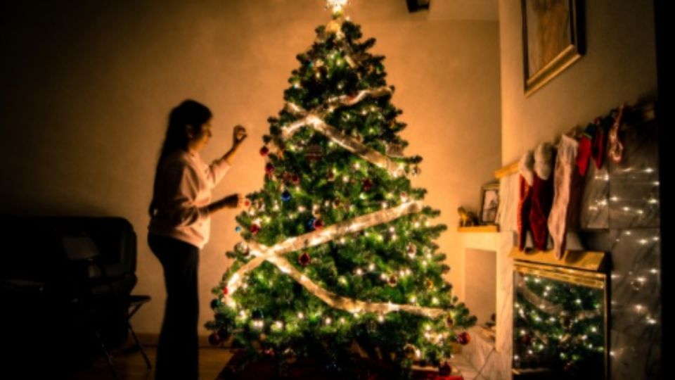 Desecha correctamente tu árbol de Navidad natural y ayuda al medio ambiente