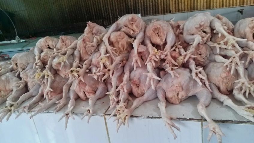 ¡Alerta! Encuentran coronavirus en paquete de carne congelada en China