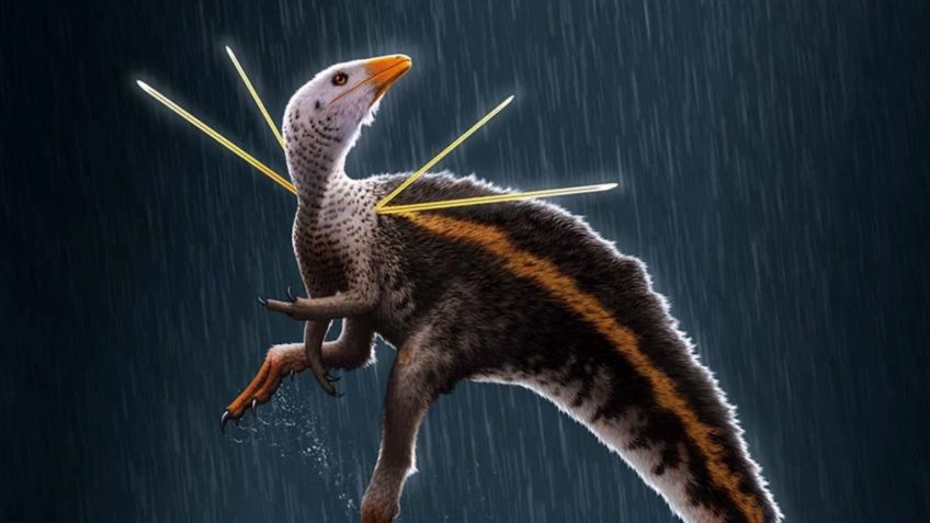 ¡Qué elegante! Descubren especie de dinosaurio que lucía largas espinas en los hombros: FOTO