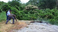 Cráter que arroja agua hirviendo alerta a pobladores de Veracruz ¿Podría formarse un volcán?