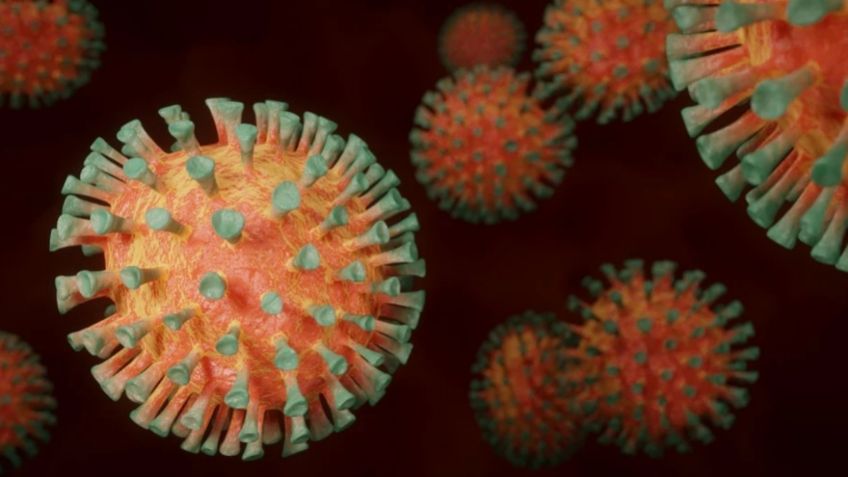 Covid-19: Identifican nueva variante del virus en Sudáfrica, es responsable del 90% de los nuevos casos en el país