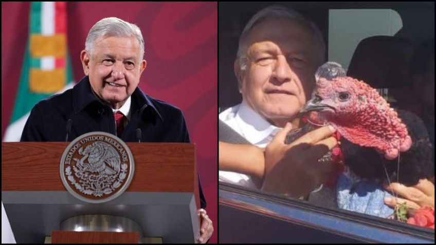 AMLO entrega guajolote que le regalaron en Oaxaca a centro de protección de animales