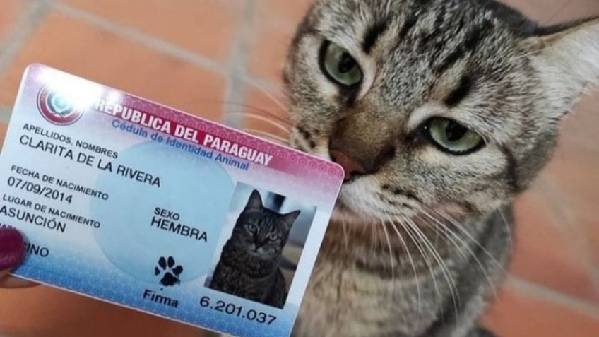 Se burlan de policía de Paraguay tras redada en supuesta fábrica de “identificaciones” falsas