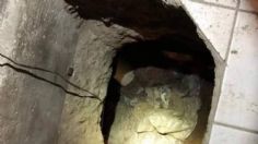 Albañil hace túnel para visitar a su amante... ¿al estilo de El Chapo Guzmán?