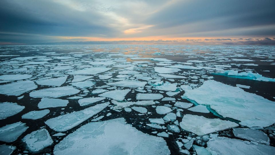 Los desechos de las lavadoras pueden contaminar el ártico
FOTO: Especial