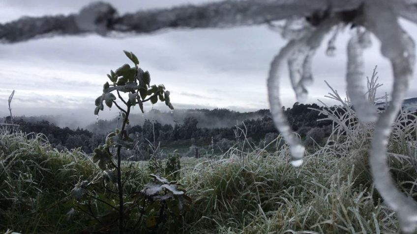 Clima México: Se esperan heladas en zonas oriente y sureste | 27 de diciembre