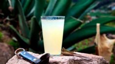 ¿Bebida de los dioses? Por qué se le conoce así al pulque