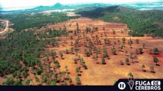 Cuidado del medio ambiente, la clave para evitar otra pandemia