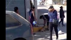 IMÁGENES FUERTES: Grupo de mujeres golpea de manera brutal a pitbull que mordió a un chihuahua