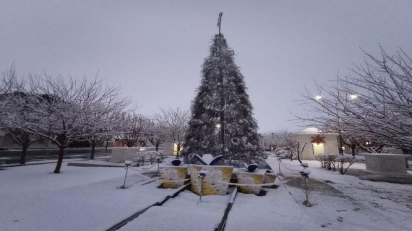 Chihuahua se viste de blanco por nevada: FOTOS