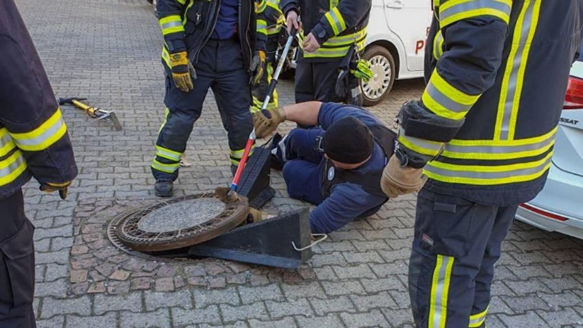 Rata GORDA queda ATORADA en una coladera; bomberos la auxilian: VIDEO