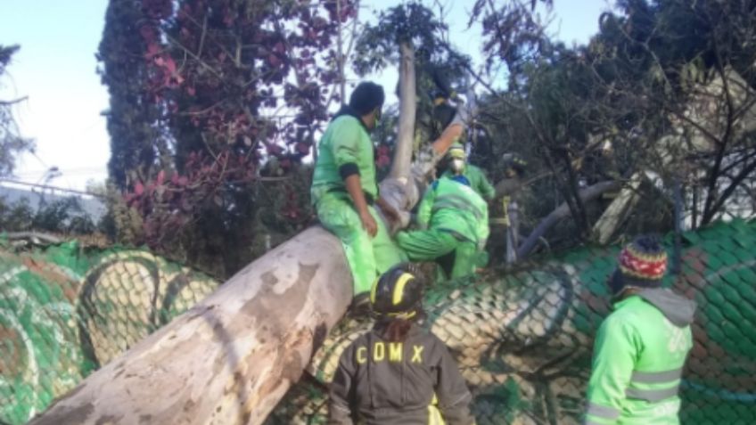 Continúa la alerta por fuertes vientos en la CDMX: VIDEOS