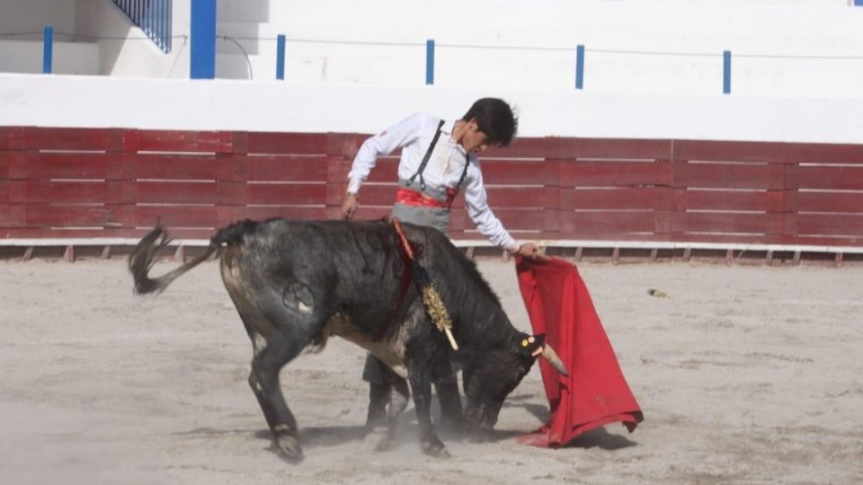 El joven Eder López Mejía lidió cortó una oreja a un novillo de la ganadería de San Antonio de Padua. Foto: Guillermo Veloz