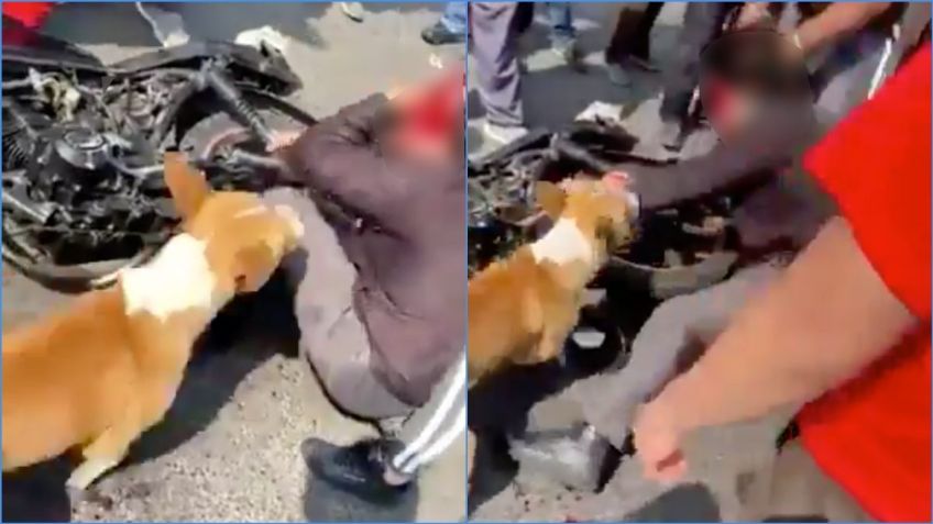 Habitantes de Chimalhuacán detienen a presunto ladrón y PERRO se "une" a la golpiza: VIDEO