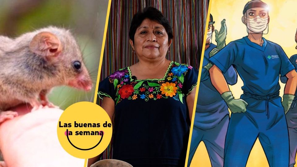 5 buenas noticias que te alegrarán el día.