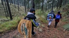 Ahuyenta la pandemia a creyentes