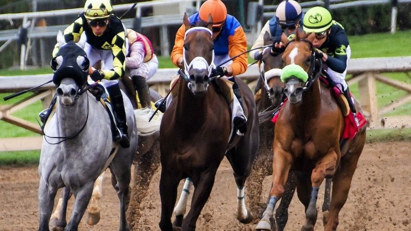 Jinete cae y es arrollado por un caballo en plena carrera: VIDEO