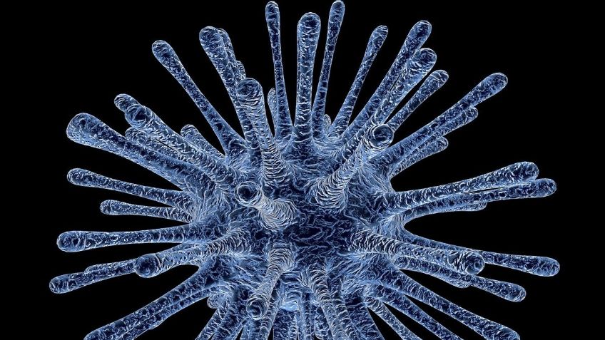 ¿Qué es la cloroquina? La medicina que podría ser la cura del coronavirus