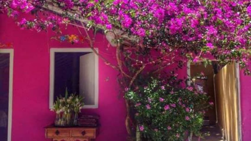 Rosa Mexicano; esta es la historia de un color que le da identidad a un país