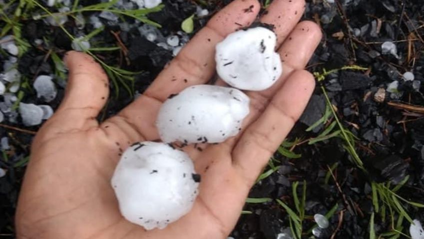 Granizada acaba con cultivos en Reynosa, Tamaulipas