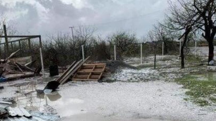 Granizada acaba con cultivos en Reynosa, Tamaulipas