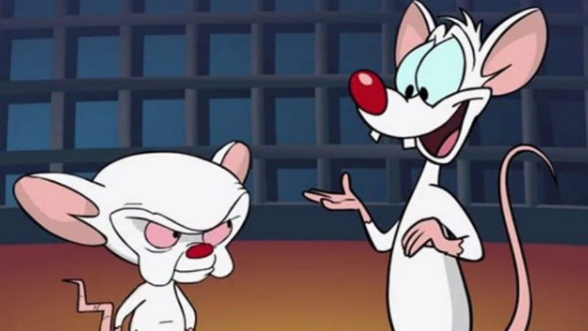 ¡Conquistarán el mundo! Pinky y Cerebro vuelven junto con Animaniacs