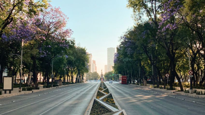 CDMX: la increíble vista de la ciudad a través de un lente de iphone