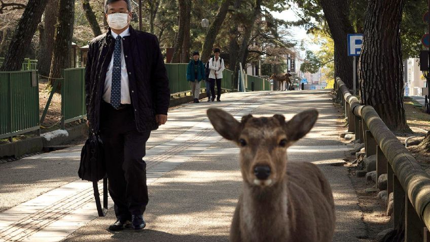 FOTOS: La Tierra, antes y después de la pandemia de Covid-19