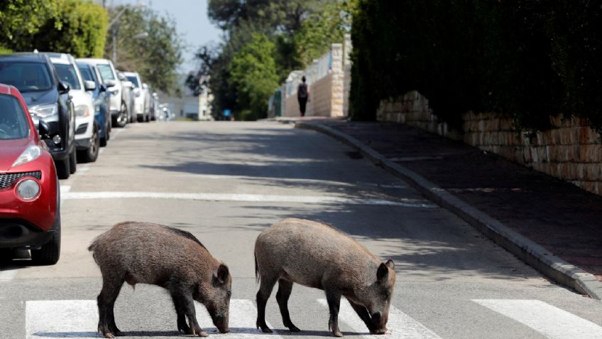 FOTOS: La Tierra, antes y después de la pandemia de Covid-19