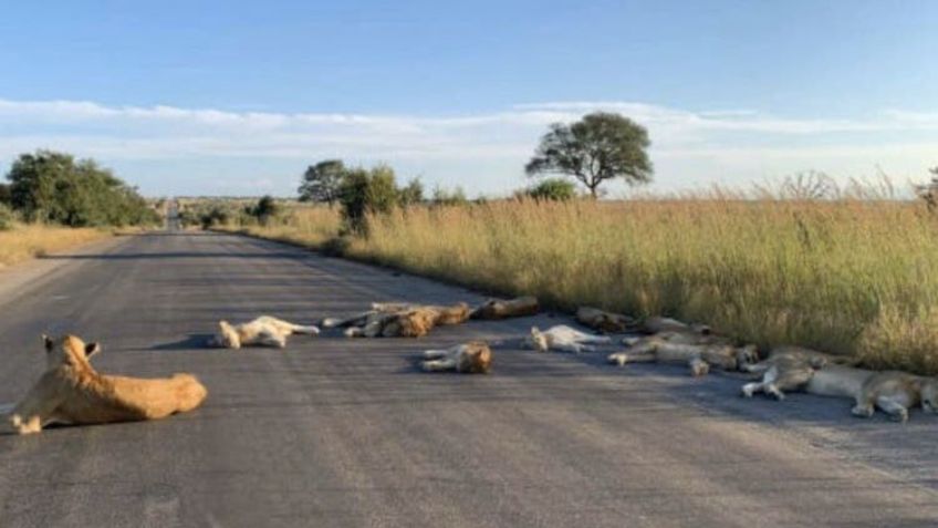 FOTOS: La Tierra, antes y después de la pandemia de Covid-19