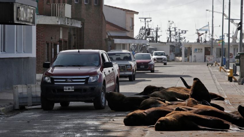 FOTOS: La Tierra, antes y después de la pandemia de Covid-19